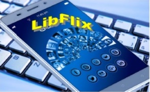 LibFlix schematic on a phone.