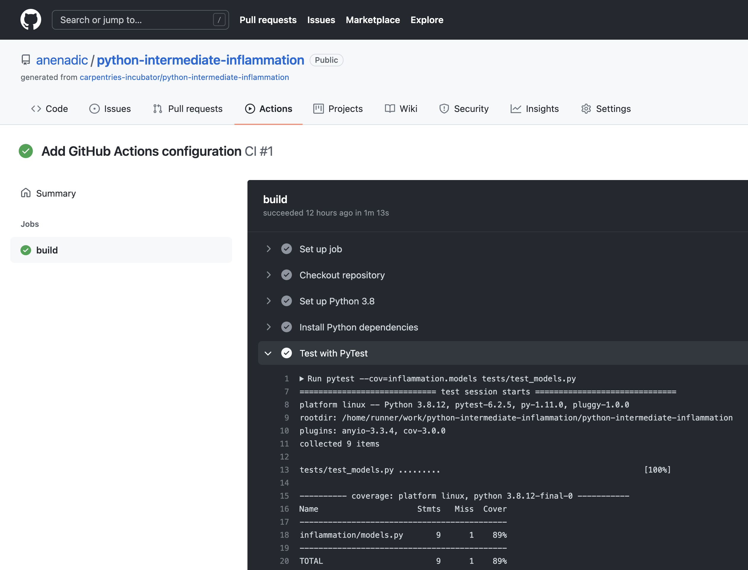 Continuous Integration with GitHub Actions - Build Details