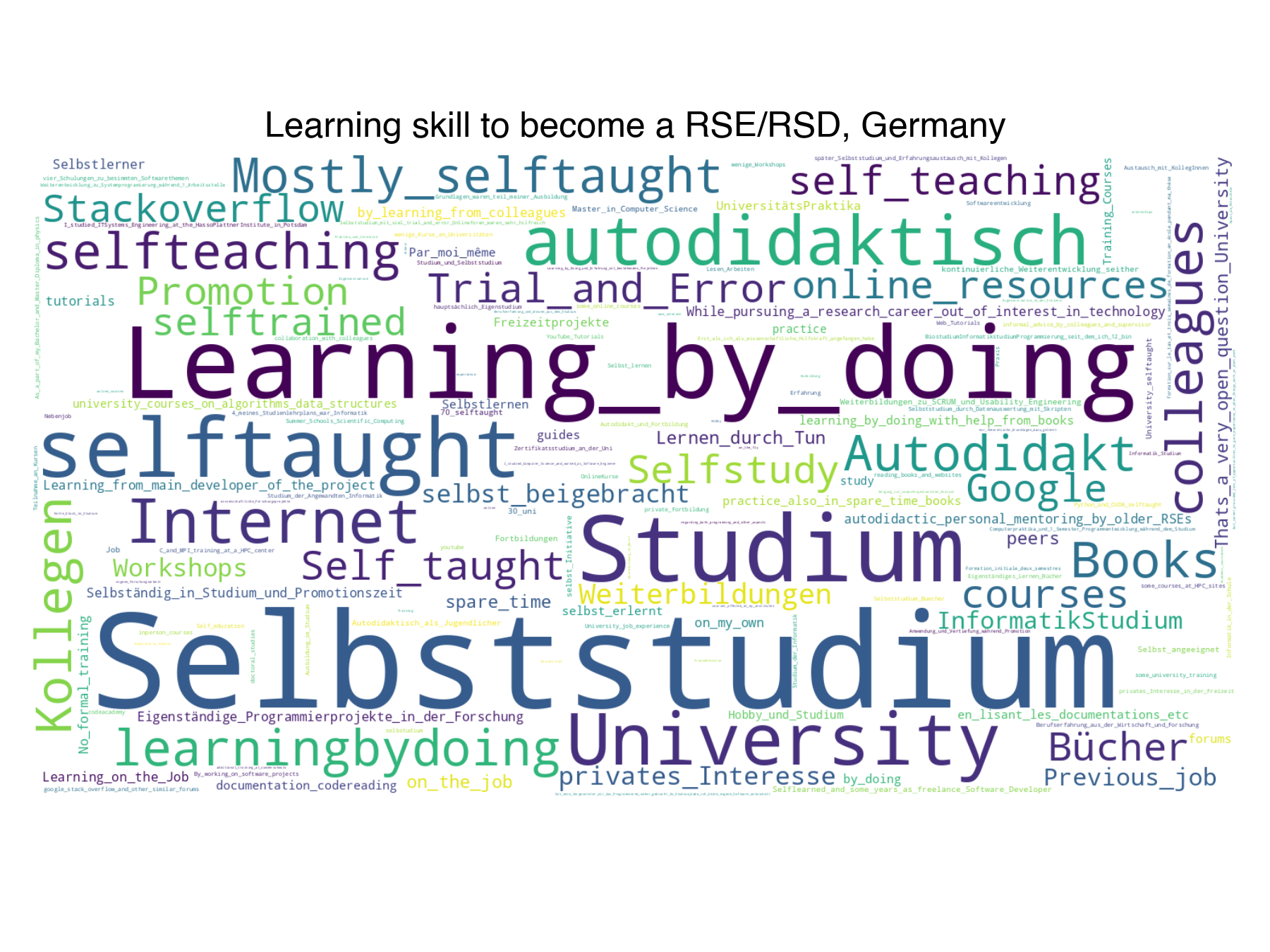 learning-skills-rse-rsd-wordcloud