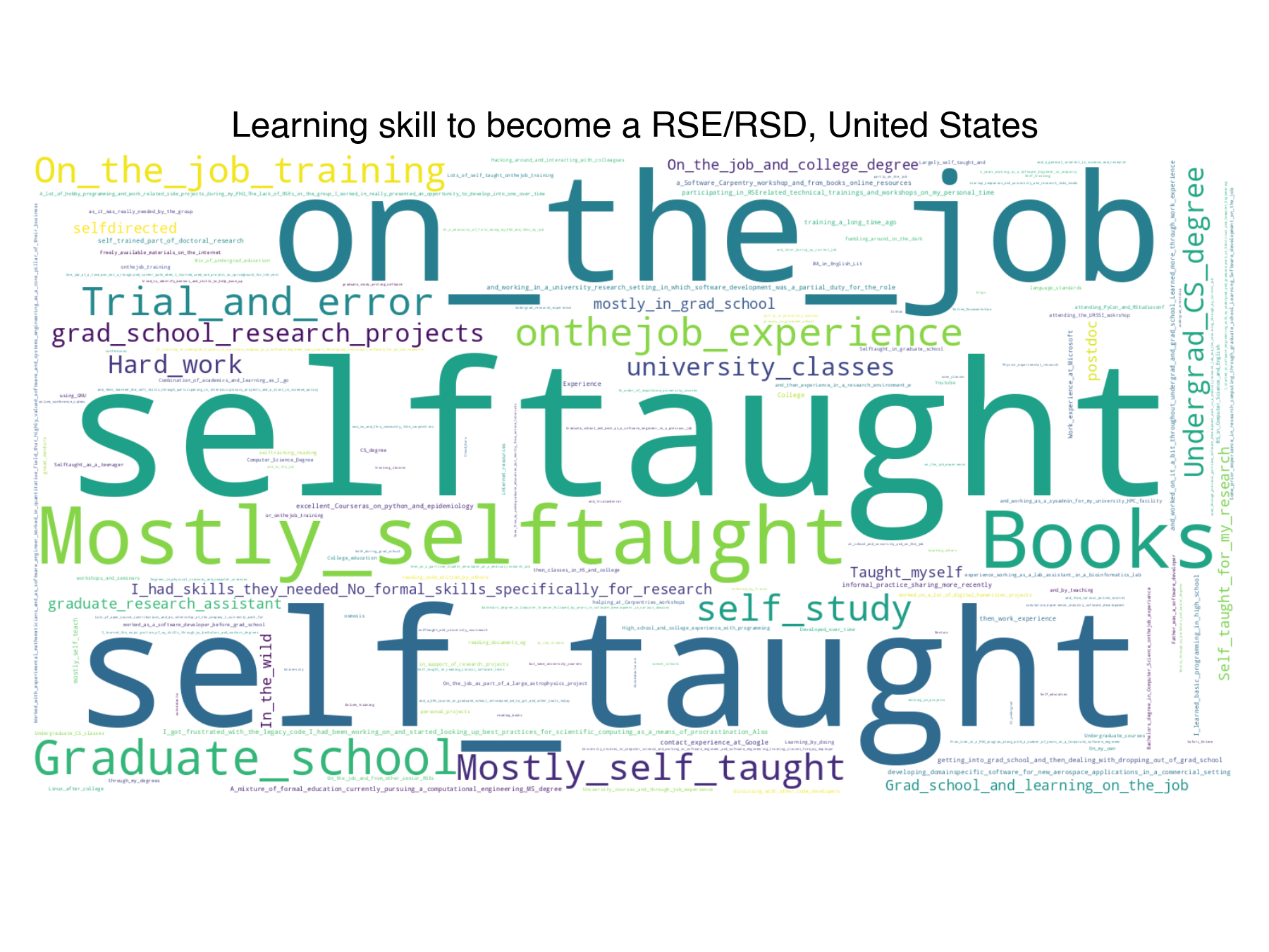 learning-skills-rse-rsd-wordcloud