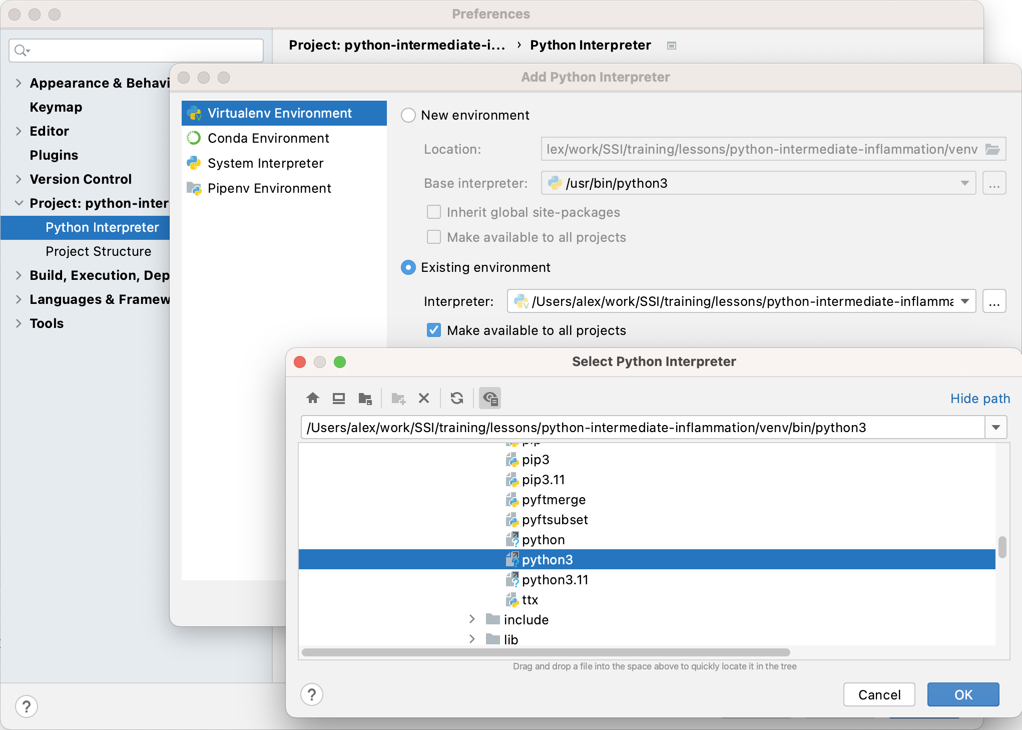 Configuring Python Interpreter in PyCharm